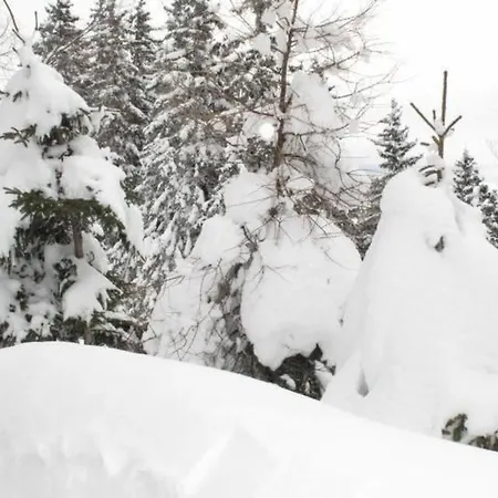 Almhaus Am Hohenwart By Interhome Apartament *