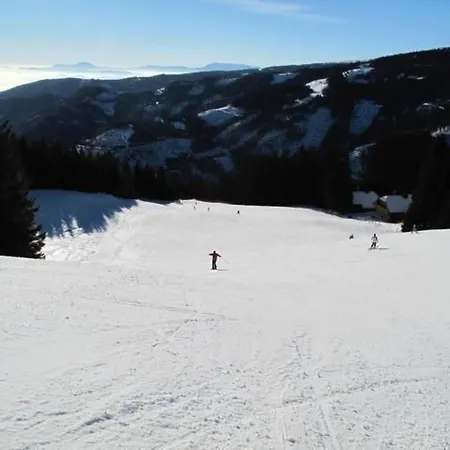 Almhaus Am Hohenwart By Interhome Klippitztorl