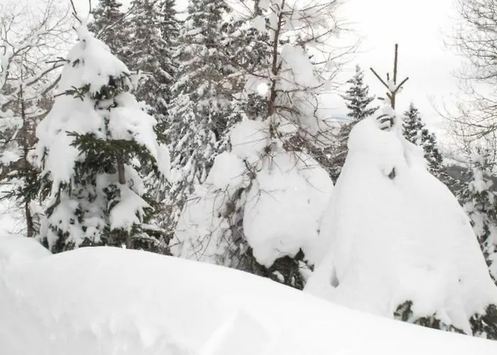 Almhaus Am Hohenwart By Interhome דירה *